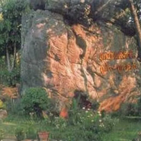 โนนวัดป่า