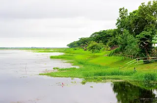หนองหาร